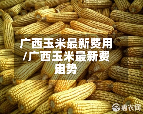 广西玉米最新费用/广西玉米最新费用走势