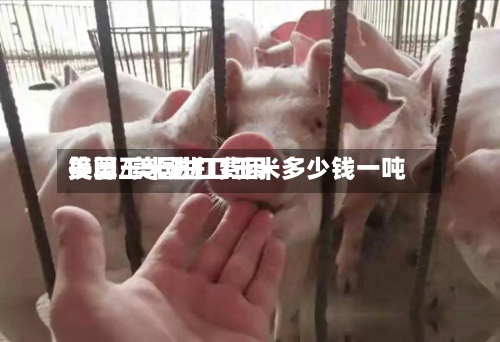 美国玉米进口费用
换算/美国进口玉米多少钱一吨-第3张图片