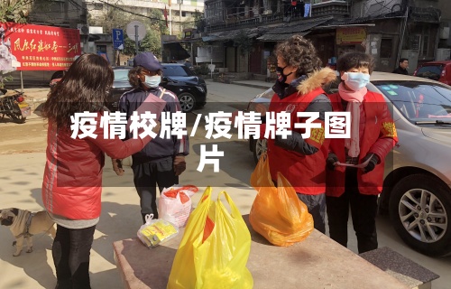 疫情校牌/疫情牌子图片-第2张图片