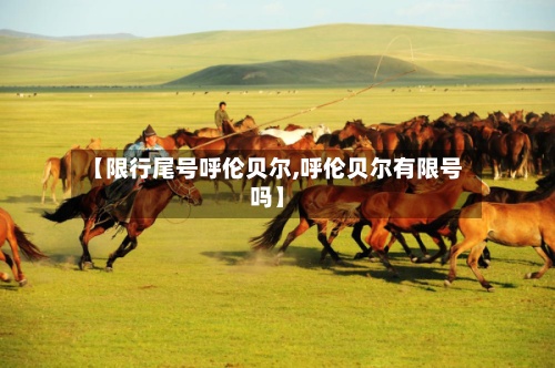 【限行尾号呼伦贝尔,呼伦贝尔有限号吗】-第3张图片