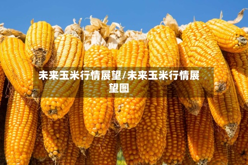 未来玉米行情展望/未来玉米行情展望图-第3张图片