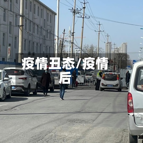 疫情丑态/疫情后