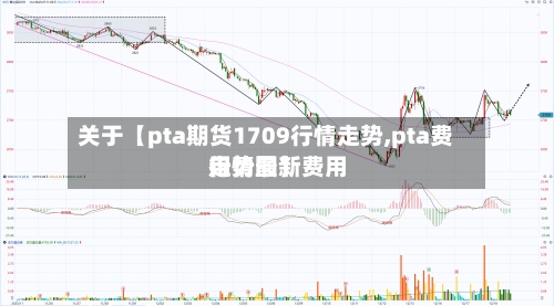 关于【pta期货1709行情走势,pta费用
行情最新费用
走势图】-第2张图片