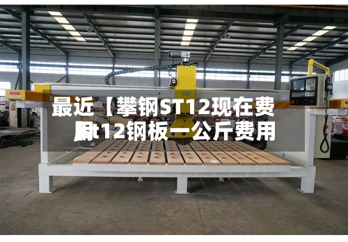 最近【攀钢ST12现在费用
,st12钢板一公斤费用
】-第2张图片