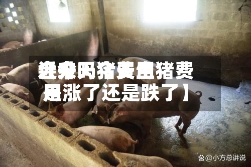 近来【今天猪费用会升吗今天生猪费用是涨了还是跌了】-第2张图片