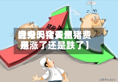 近来【今天猪费用会升吗今天生猪费用是涨了还是跌了】-第3张图片