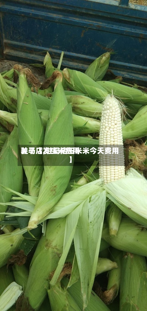 关于【发生米费用驻马店,驻马店玉米米今天费用】