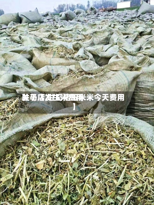 关于【发生米费用
驻马店,驻马店玉米米今天费用
】-第2张图片
