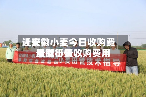 近来【安徽小麦今日收购费用安徽小麦收购费用最新行情】