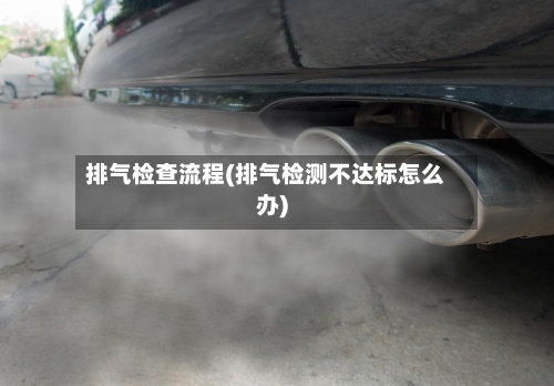 排气检查流程(排气检测不达标怎么办)