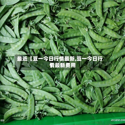 最近【豆一今日行情最新,豆一今日行情最新费用】