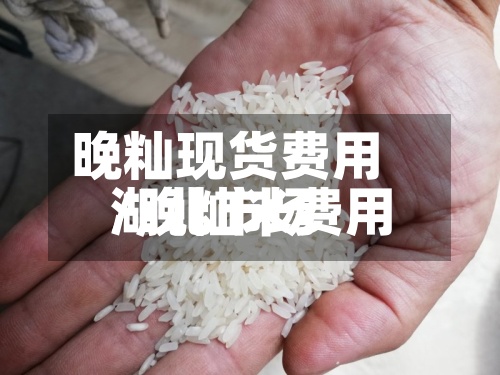 晚籼现货费用
/晚籼米费用
湖北市场-第3张图片