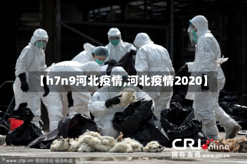 【h7n9河北疫情,河北疫情2020】