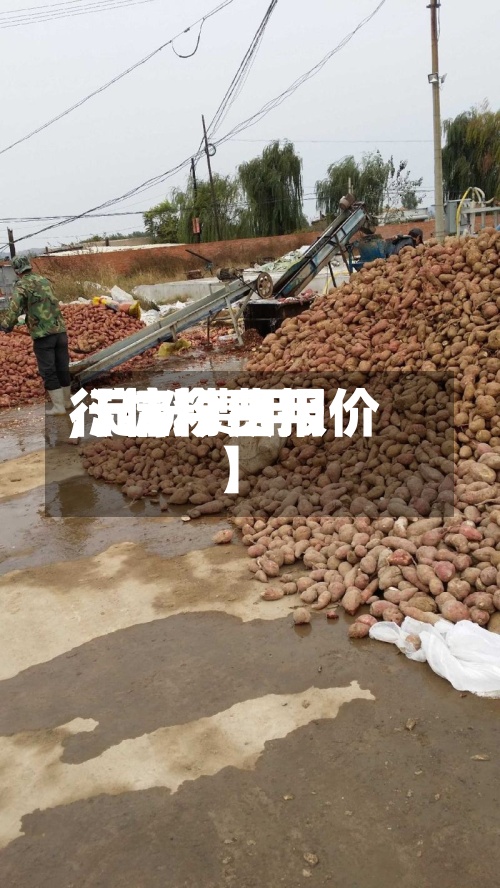 【淀粉费用
,淀粉费用
行情今日报价】-第2张图片