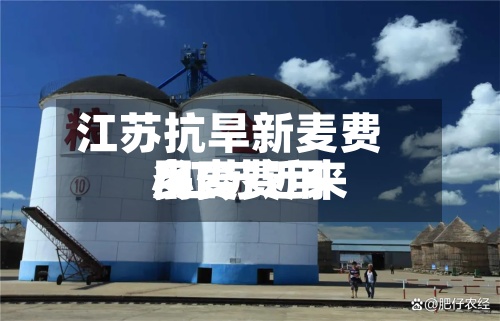江苏抗旱新麦费用/江苏近来小麦费用多少