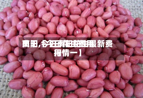 关于【今日花生费用南阳,今日南阳花生最新费用行情一】