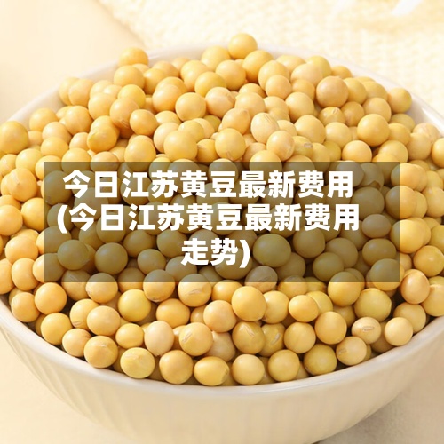 今日江苏黄豆最新费用(今日江苏黄豆最新费用走势)