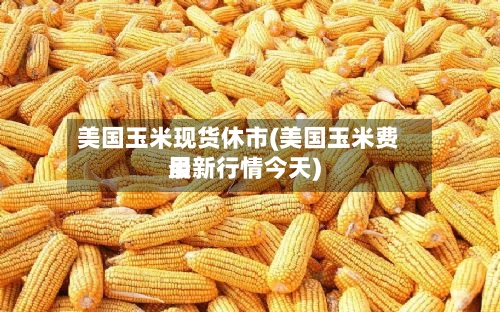 美国玉米现货休市(美国玉米费用最新行情今天)