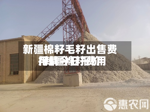 新疆棉籽毛籽出售费用
/新疆棉籽费用
行情今日报价-第3张图片