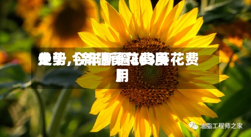 关于【新疆葵花费用走势,今年新疆363葵花费用】-第2张图片