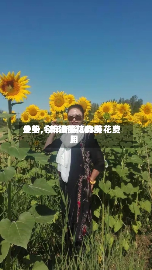 关于【新疆葵花费用走势,今年新疆363葵花费用】