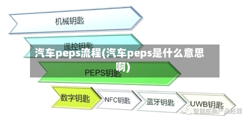 汽车peps流程(汽车peps是什么意思啊)