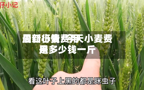 周口小麦费用
最新行情/今天小麦费用
是多少钱一斤-第3张图片