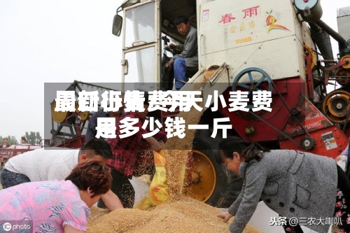 周口小麦费用
最新行情/今天小麦费用
是多少钱一斤-第2张图片