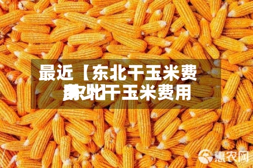 最近【东北干玉米费用,东北干玉米费用多少】