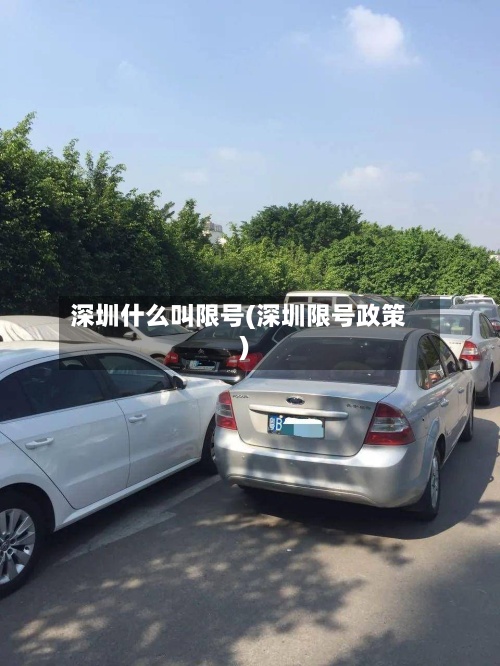 深圳什么叫限号(深圳限号政策)-第3张图片