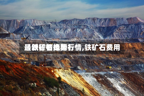 【铁矿石掉期行情,铁矿石费用
最新行情走势】-第2张图片