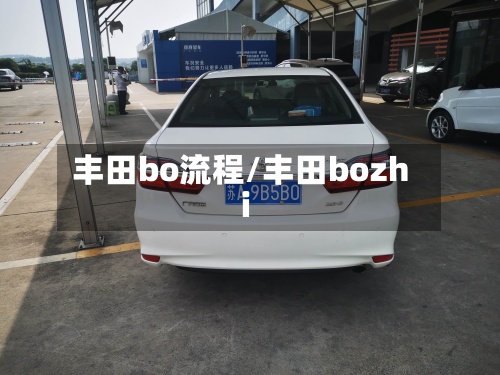 丰田bo流程/丰田bozhi-第3张图片