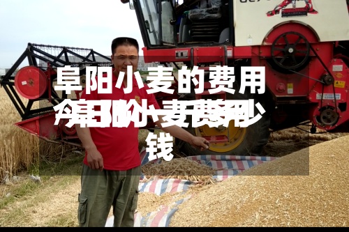 阜阳小麦的费用
/阜阳小麦费用
今日价一斤多少钱-第2张图片