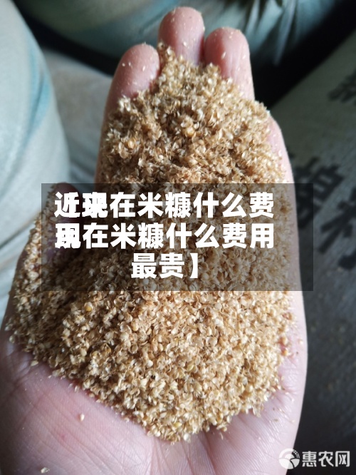 近来【现在米糠什么费用现在米糠什么费用最贵】-第3张图片