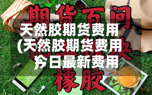 天然胶期货费用(天然胶期货费用今日最新费用)-第3张图片