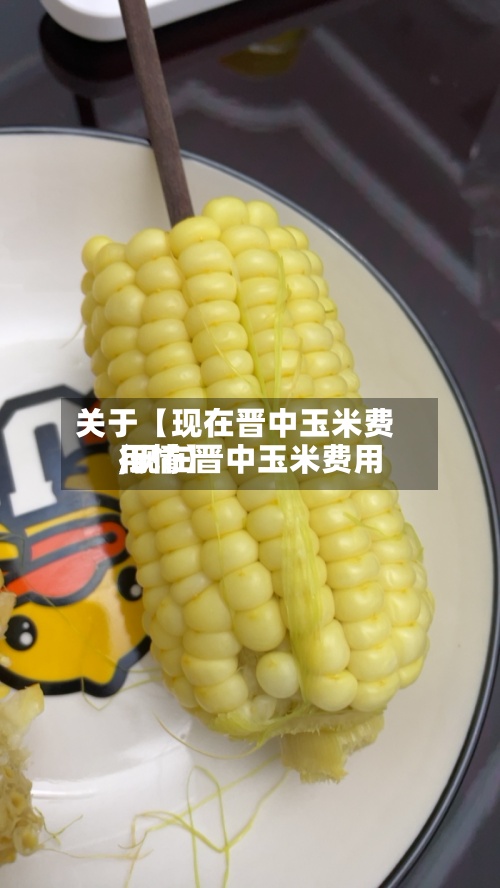 关于【现在晋中玉米费用,现在晋中玉米费用行情】