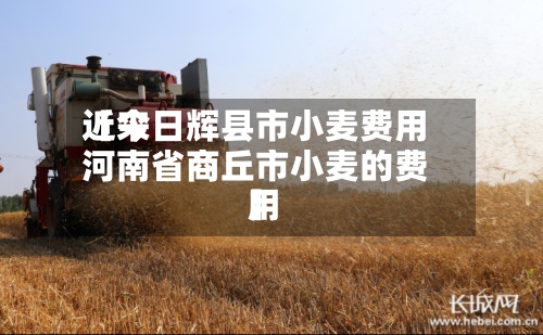 近来
【今日辉县市小麦费用
河南省商丘市小麦的费用
】-第2张图片