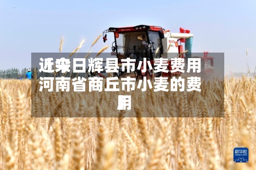 近来
【今日辉县市小麦费用
河南省商丘市小麦的费用
】-第3张图片