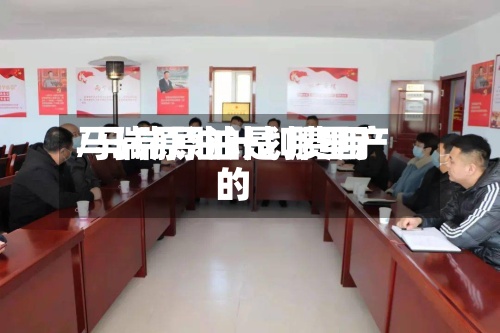 马瑞原油计划费用/马瑞原油是哪里产的