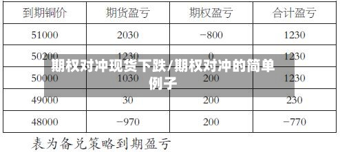 期权对冲现货下跌/期权对冲的简单例子-第2张图片