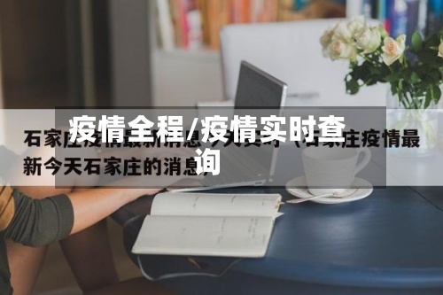 疫情全程/疫情实时查询-第2张图片