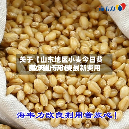 关于【山东地区小麦今日费用
,今天山东小麦最新费用
多少钱一斤】-第2张图片