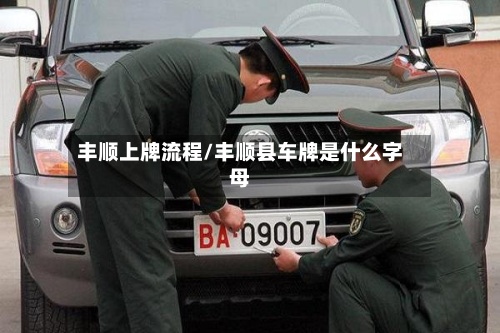 丰顺上牌流程/丰顺县车牌是什么字母-第2张图片