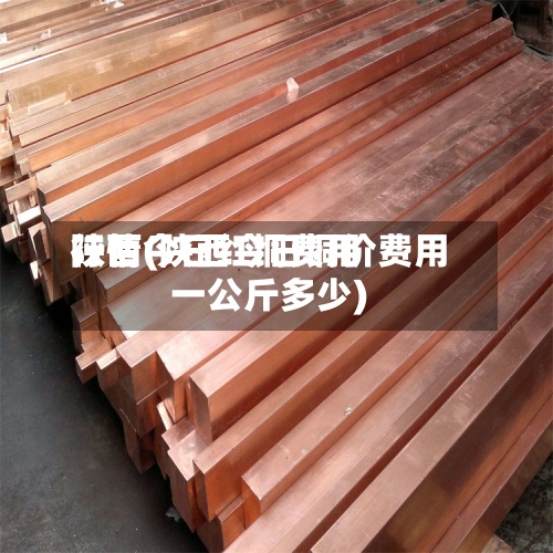 陕西今日红铜费用行情(陕西今日铜价费用一公斤多少)