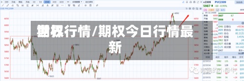 世界期权行情/期权今日行情最新
