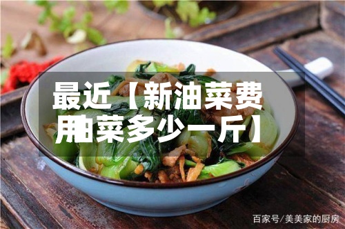 最近【新油菜费用
,油菜多少一斤】-第2张图片