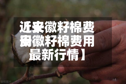 近来【安徽籽棉费用安徽籽棉费用最新行情】-第2张图片