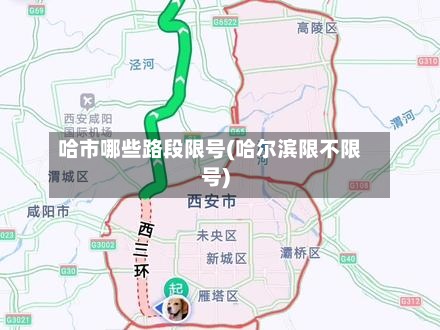 哈市哪些路段限号(哈尔滨限不限号)-第2张图片