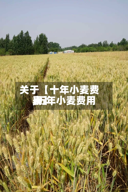 关于【十年小麦费用
,历年小麦费用
表】-第2张图片