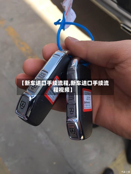 【新车进口手续流程,新车进口手续流程视频】